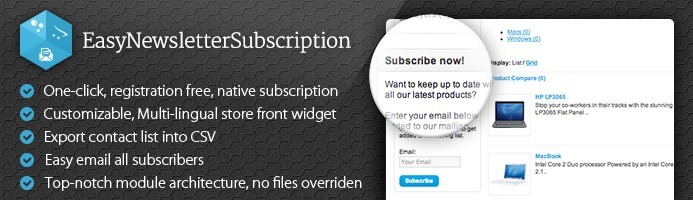 Easy-Newsletter-Subscription