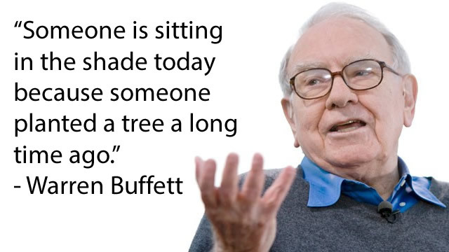 warren buffett quotes on tree plantation